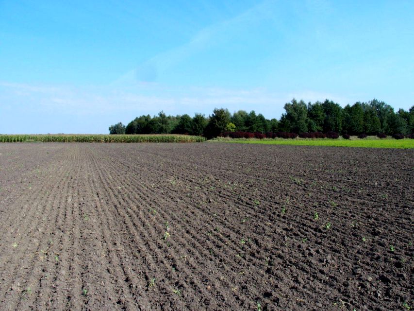 Działka budowlana Ceradz Dolny