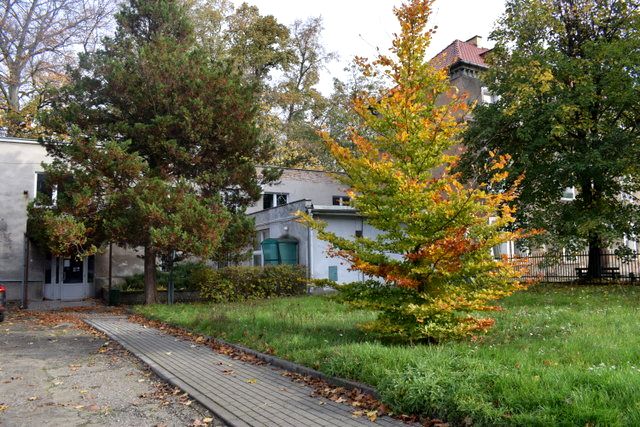 Budynek użytkowy Szprotawa