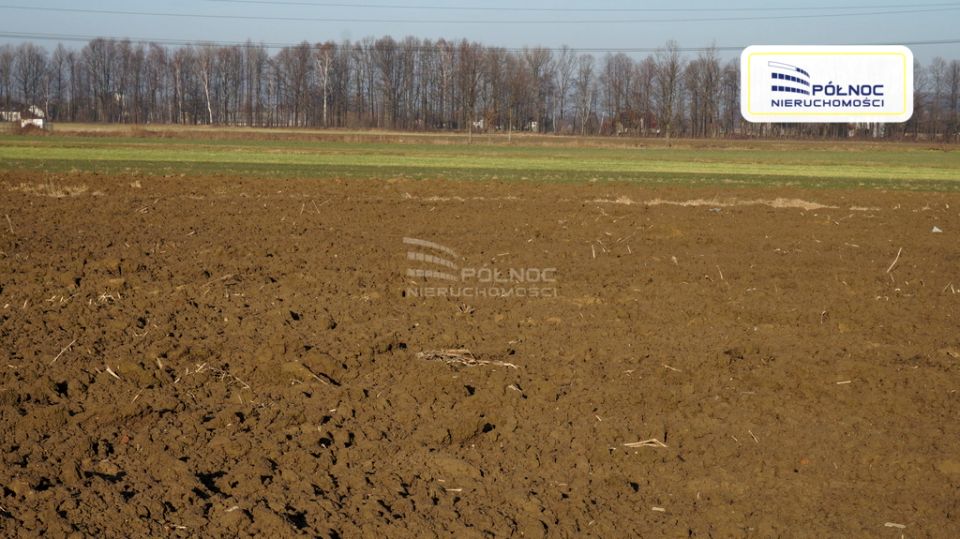 Działka rolna Międzyrzecze Dolne