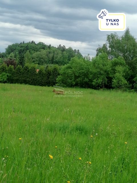 Działka budowlana Bielsko-Biała