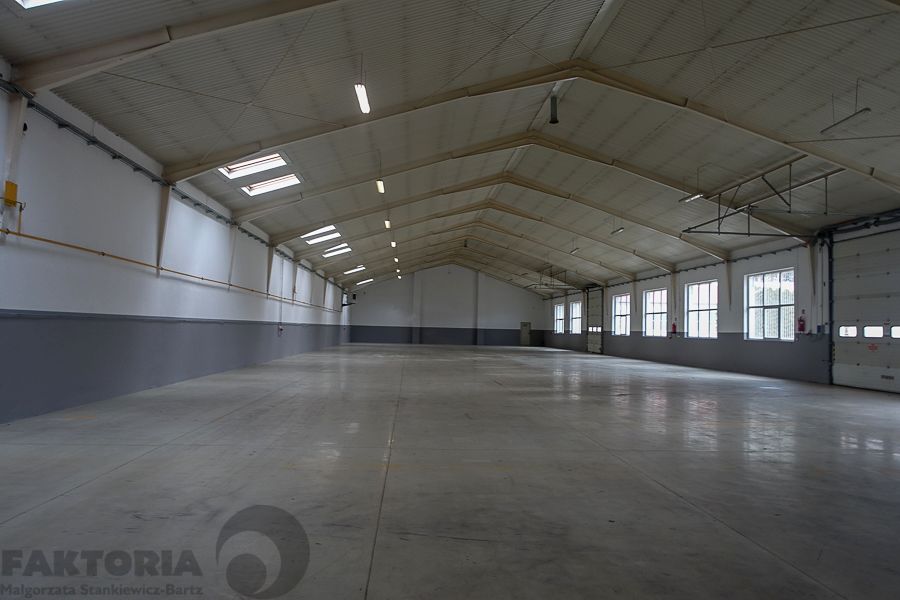 Lokal Szczecin wynajem