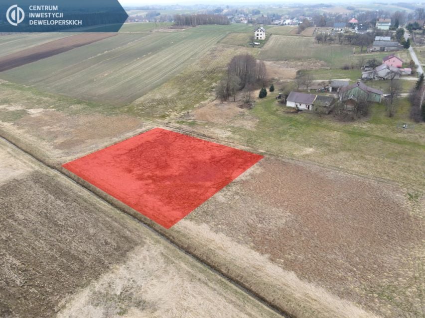 Zdjęcie 2