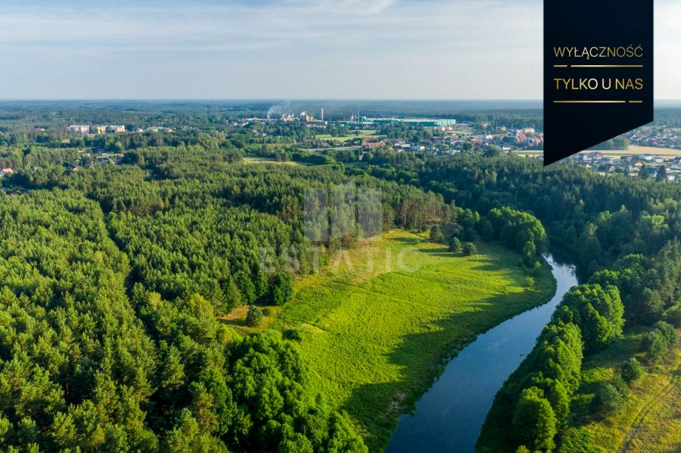 Działka leśna Czarna Woda sprzedam