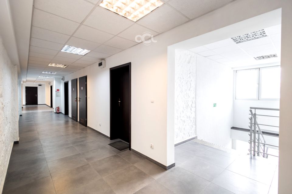 Lokal Opole