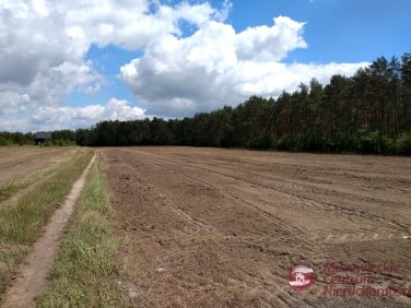 Działka budowlana Nowa Wrona