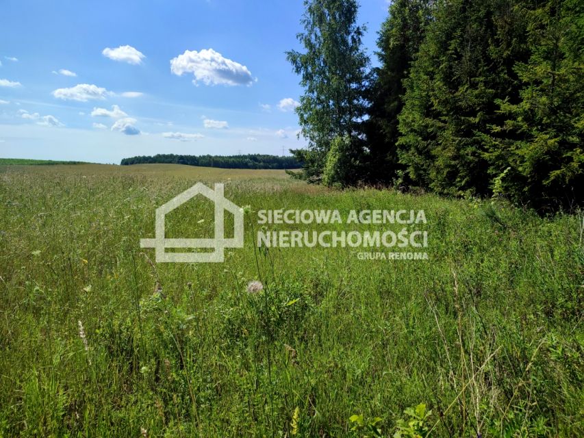 Działka inna Ełganowo