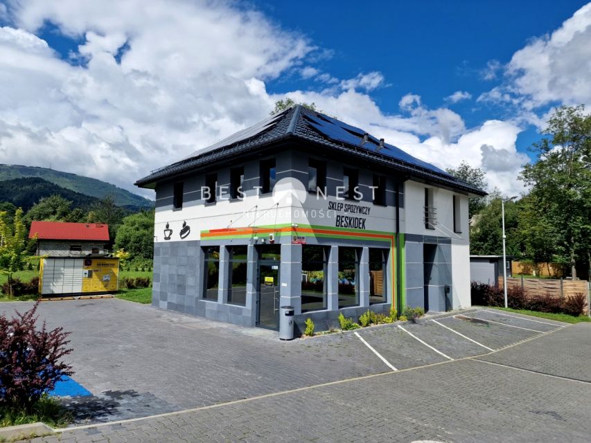 Lokal Lipowa