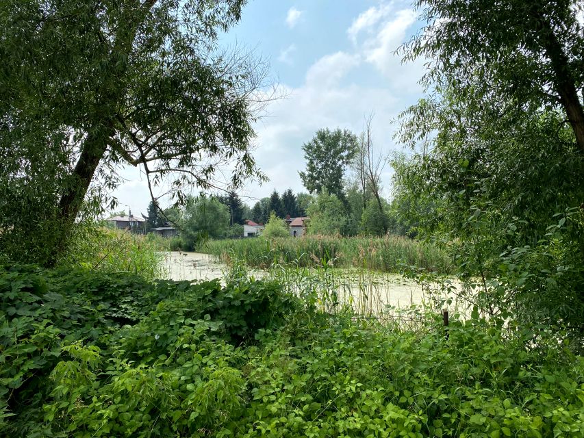 Działka Habdzin