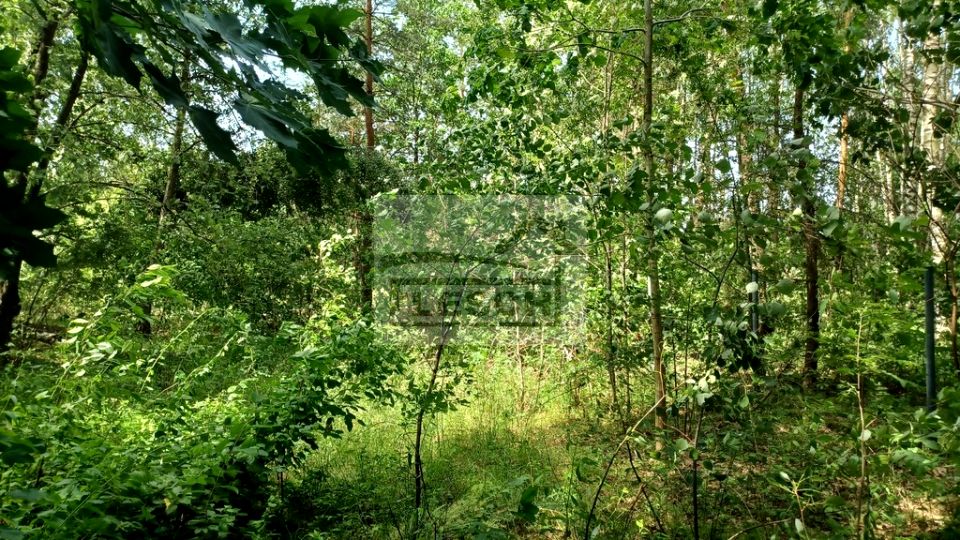 Działka budowlana Ojrzanów