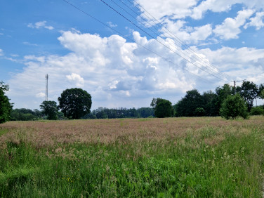 Działka budowlana Odrano-Wola