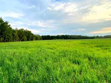 Działka inwestycyjna Wodnica