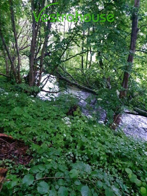 Działka siedliskowa Śpiglówka