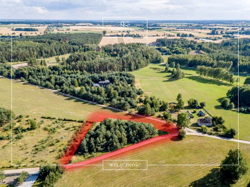 Działka Leśna Grobla