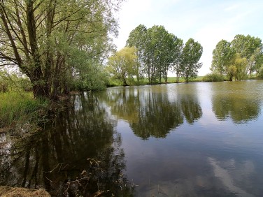 Działka budowlana Łęczyca sprzedam