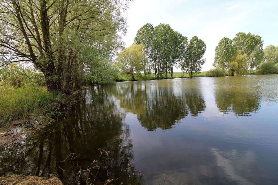 Działka budowlana Łęczyca sprzedam