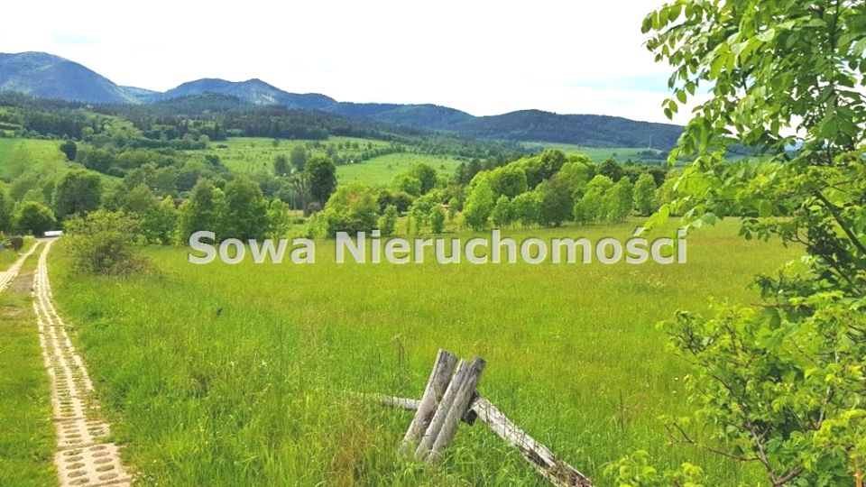 Działka przy lesie