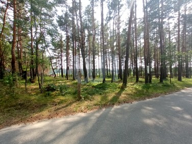 Działka leśna Ostrowy nad Okszą