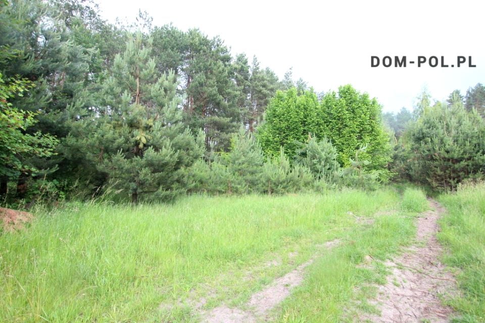 Zdjęcie 2
