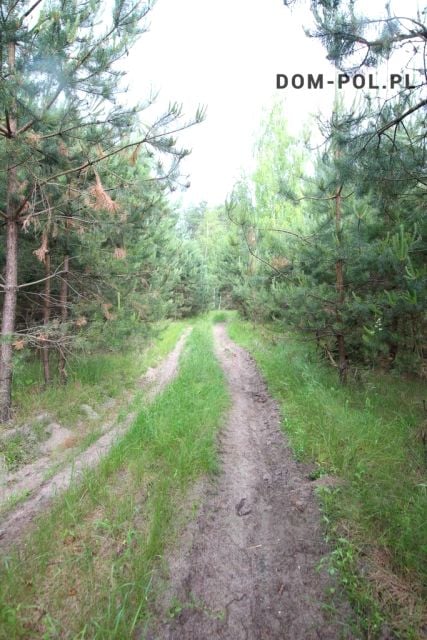 Zdjęcie 3
