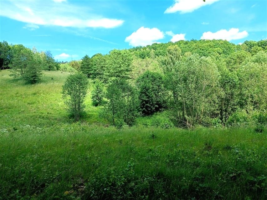 Zdjęcie 3