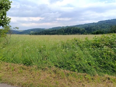 Działka Walim