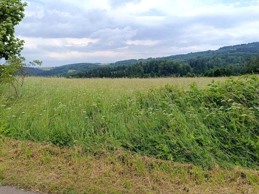Działka Walim
