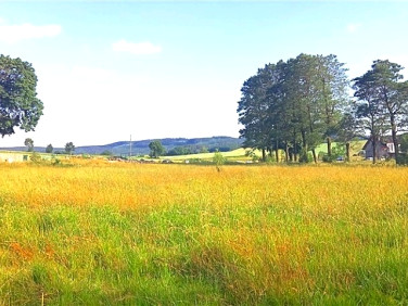 Działka Krzeszów