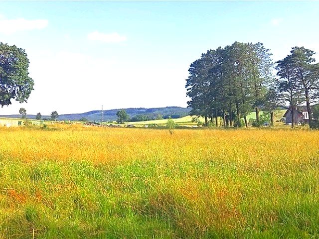 Działka Krzeszów