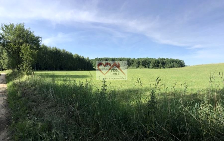 Działka rolna Michałki