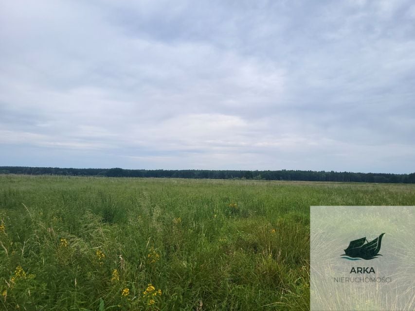 Działka rolna w Dobrej Szczecińskiej