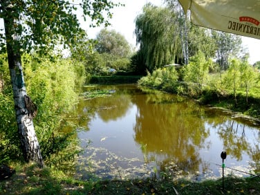 Działka Tuszyn