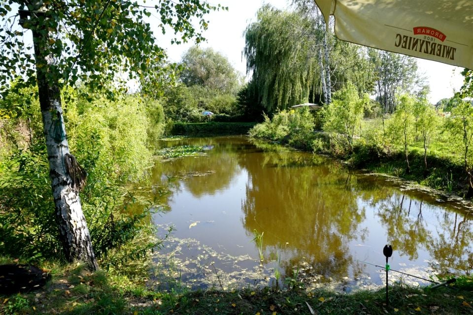 Działka Tuszyn