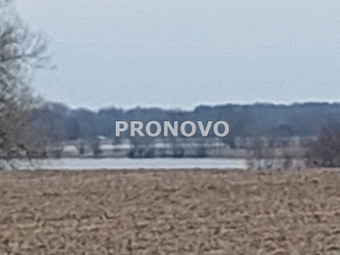 Pusta działka Łuskowo