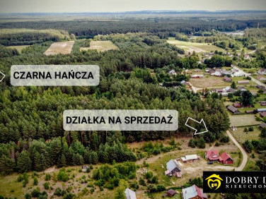 Działka nad jeziorem