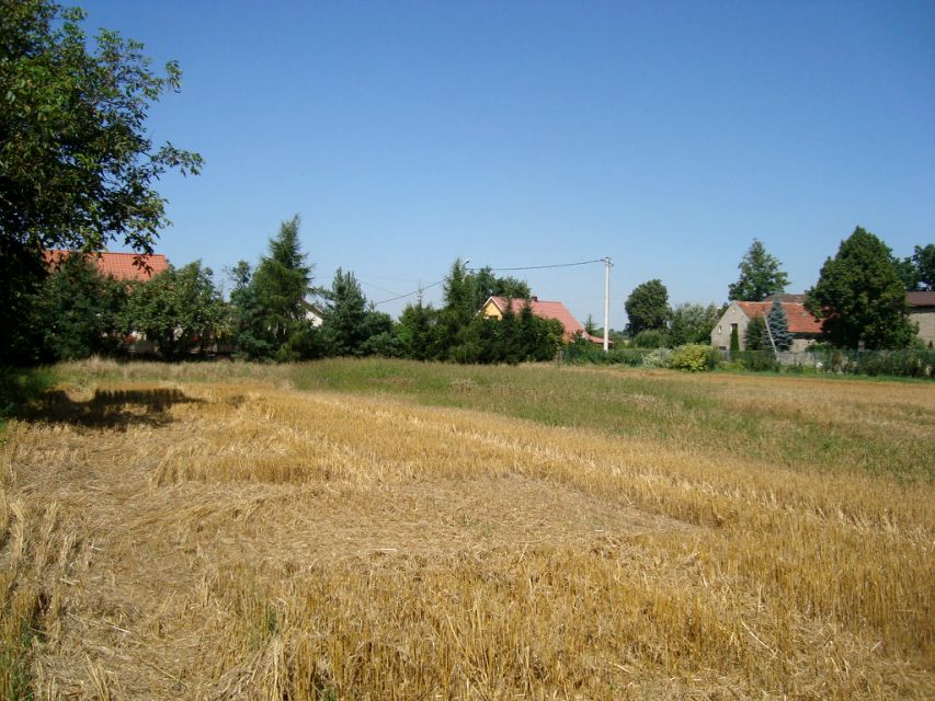 Zdjęcie 2