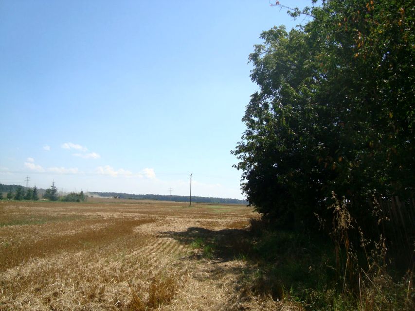 Zdjęcie 3