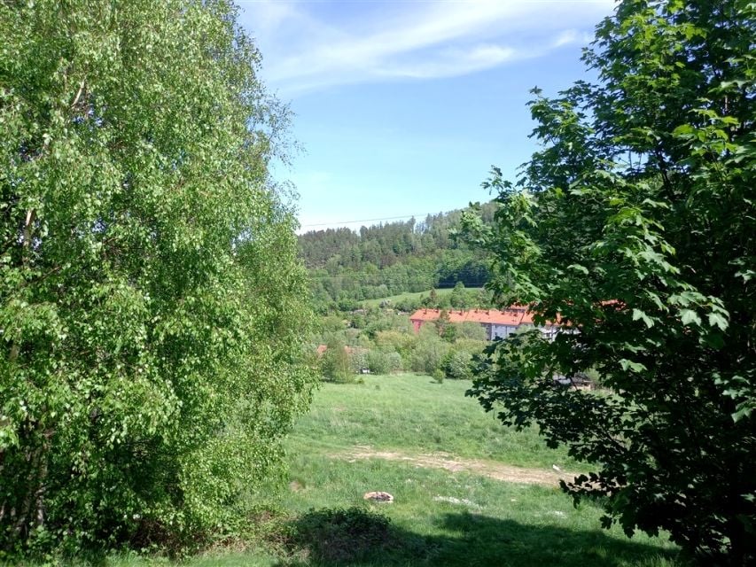 Zdjęcie 3