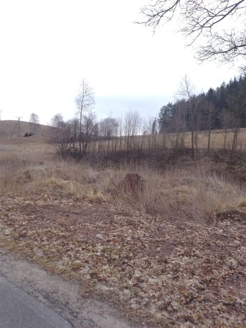 Zdjęcie 3