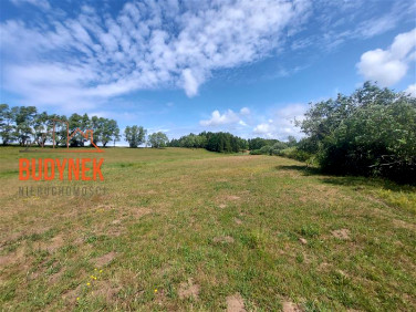 Działka Kowalewiczki