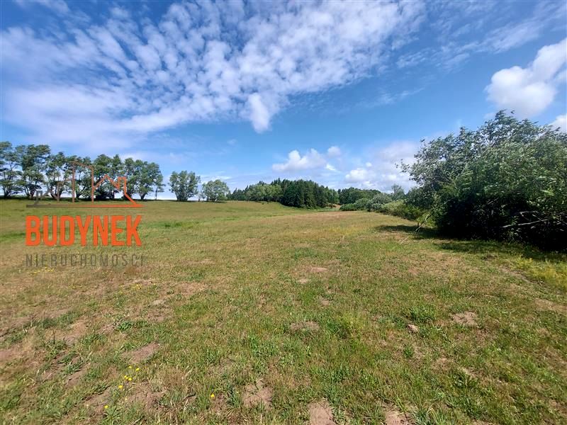 Działka Kowalewiczki