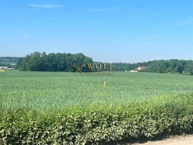 Działka budowlana Tarnowskie Góry