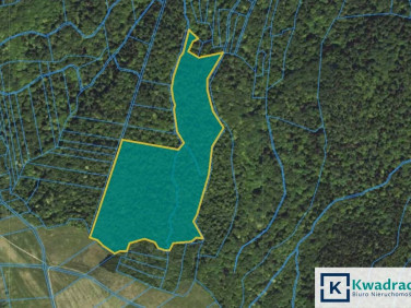 Działka leśna Stary Żmigród sprzedam