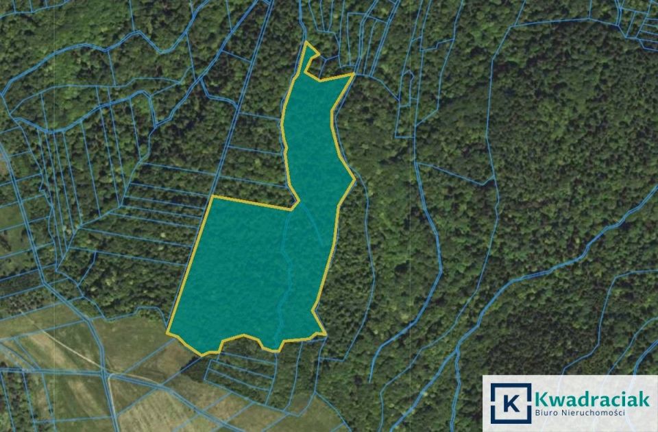 Działka leśna Stary Żmigród sprzedam