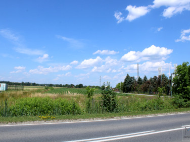 Działka usługowa Gdów sprzedam