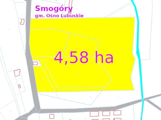 Zdjęcie 2