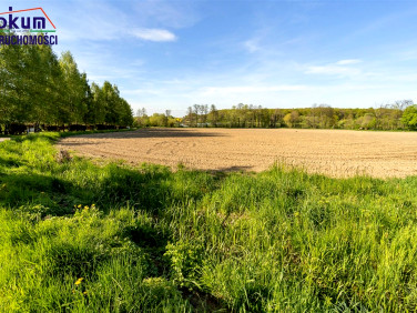 Działka budowlana Dębowiec