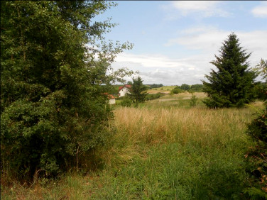 Działka budowlano-rolna Cerkiewnik z Warunkami  Zabudowy sprzedam