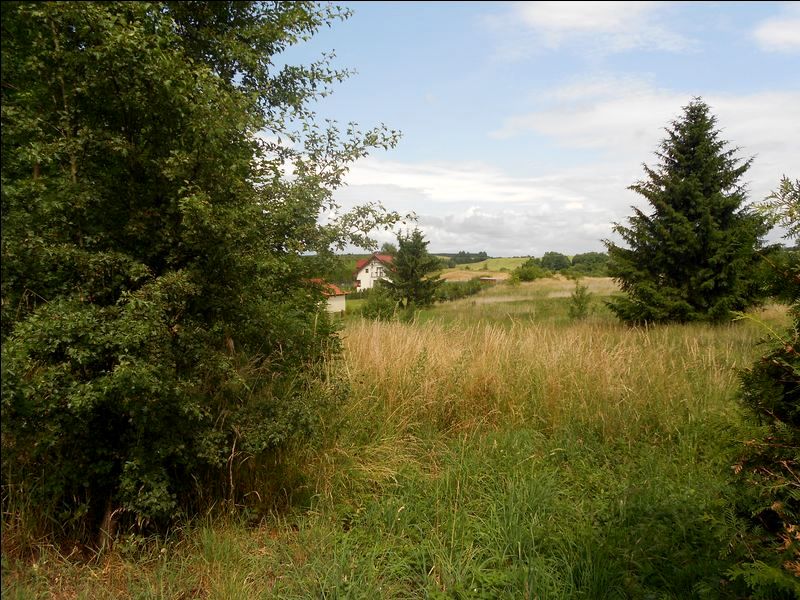 Działka budowlano-rolna Cerkiewnik z Warunkami Zabudowy sprzedam