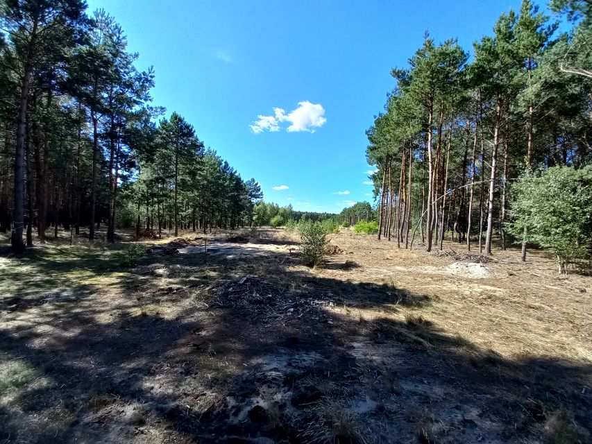 Działka rolno-leśna Januszkowo
