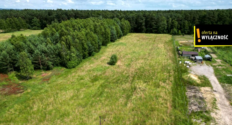 Działka Włoszczowa
